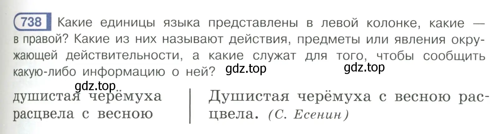 Условие ноомер 738 (страница 149) гдз по русскому языку 6 класс Рыбченкова, Александрова, учебник 2 часть