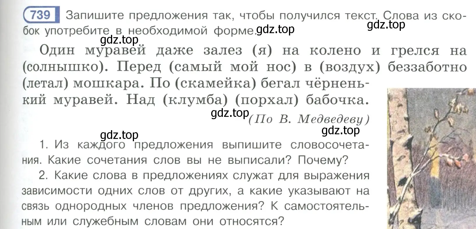 Условие ноомер 739 (страница 149) гдз по русскому языку 6 класс Рыбченкова, Александрова, учебник 2 часть