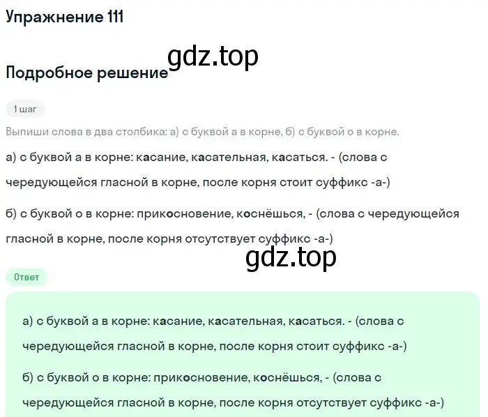 Решение 2. ноомер 111 (страница 53) гдз по русскому языку 6 класс Рыбченкова, Александрова, учебник 1 часть