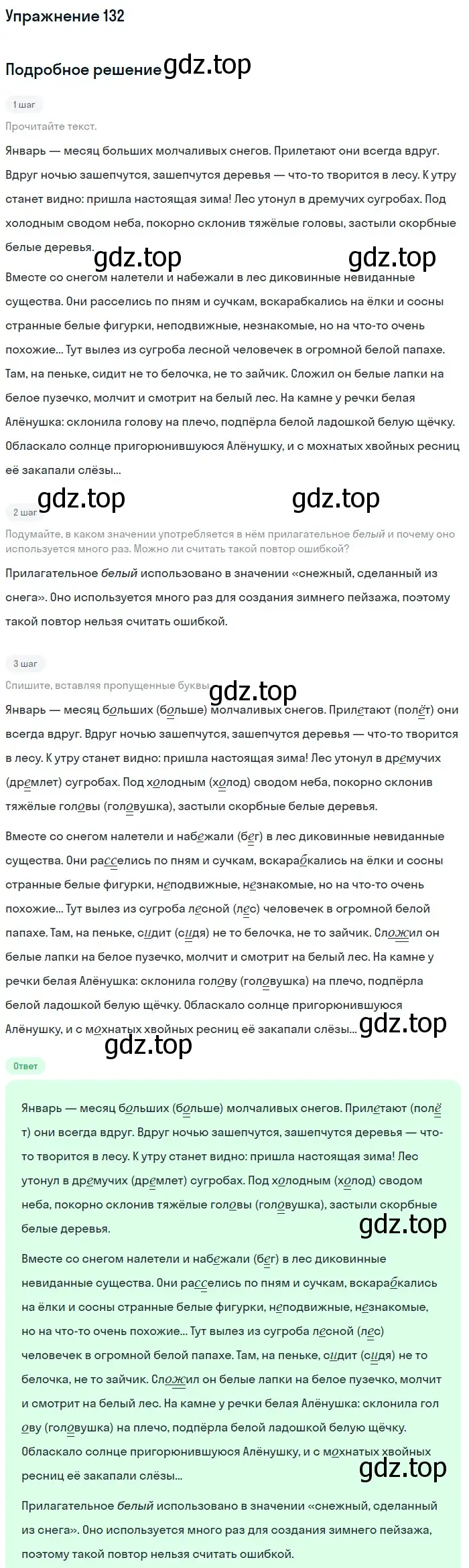 Решение 2. ноомер 132 (страница 63) гдз по русскому языку 6 класс Рыбченкова, Александрова, учебник 1 часть