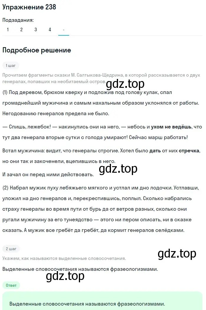 Решение 2. ноомер 238 (страница 105) гдз по русскому языку 6 класс Рыбченкова, Александрова, учебник 1 часть