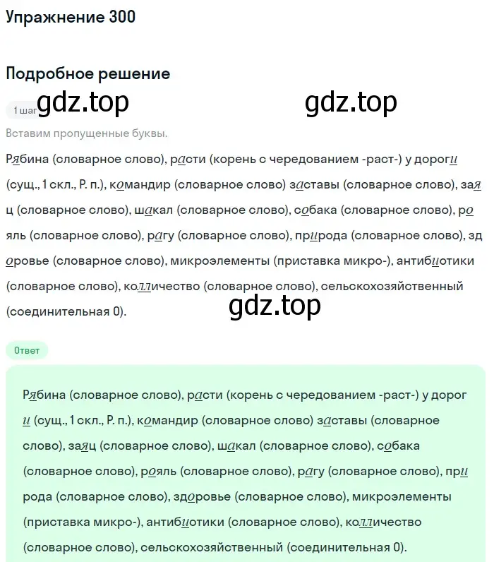 Решение 2. ноомер 300 (страница 132) гдз по русскому языку 6 класс Рыбченкова, Александрова, учебник 1 часть