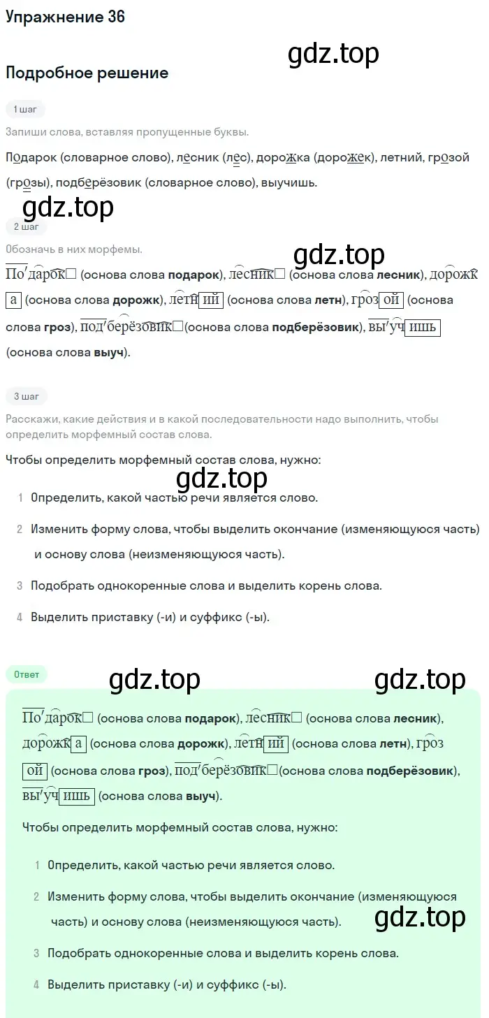 Решение 2. ноомер 36 (страница 24) гдз по русскому языку 6 класс Рыбченкова, Александрова, учебник 1 часть