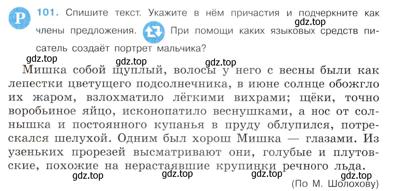 Условие номер 101 (страница 53) гдз по русскому языку 7 класс Баранов, Ладыженская, учебник 1 часть