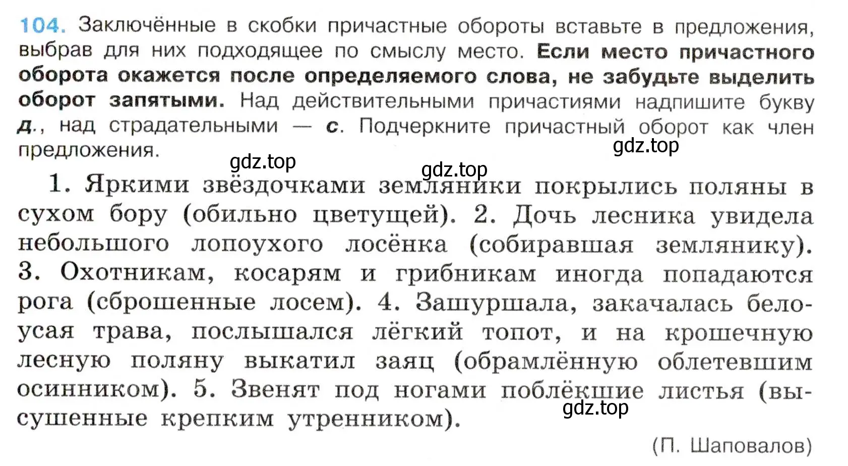 Условие номер 104 (страница 55) гдз по русскому языку 7 класс Баранов, Ладыженская, учебник 1 часть