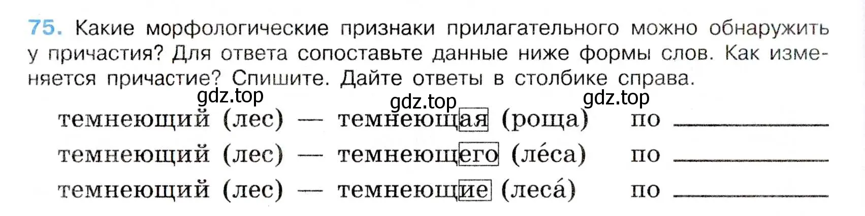Условие номер 75 (страница 40) гдз по русскому языку 7 класс Баранов, Ладыженская, учебник 1 часть