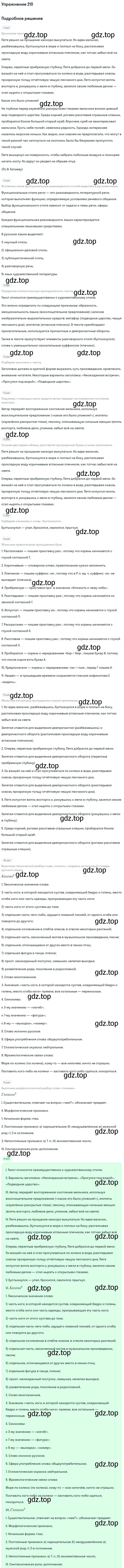 Решение номер 210 (страница 111) гдз по русскому языку 7 класс Баранов, Ладыженская, учебник 1 часть