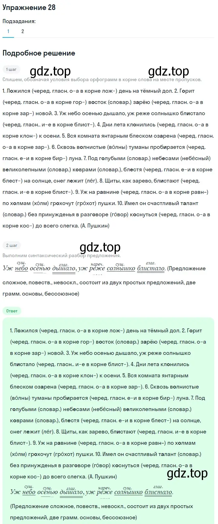 Решение номер 28 (страница 16) гдз по русскому языку 7 класс Баранов, Ладыженская, учебник 1 часть