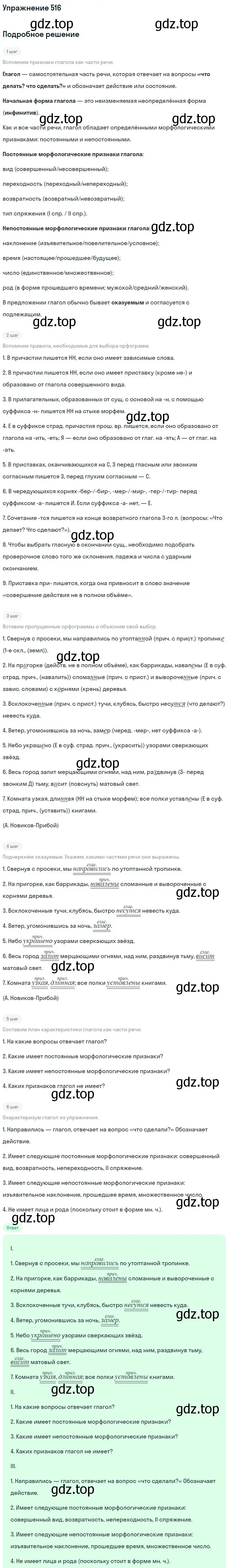 Решение номер 516 (страница 111) гдз по русскому языку 7 класс Баранов, Ладыженская, учебник 2 часть