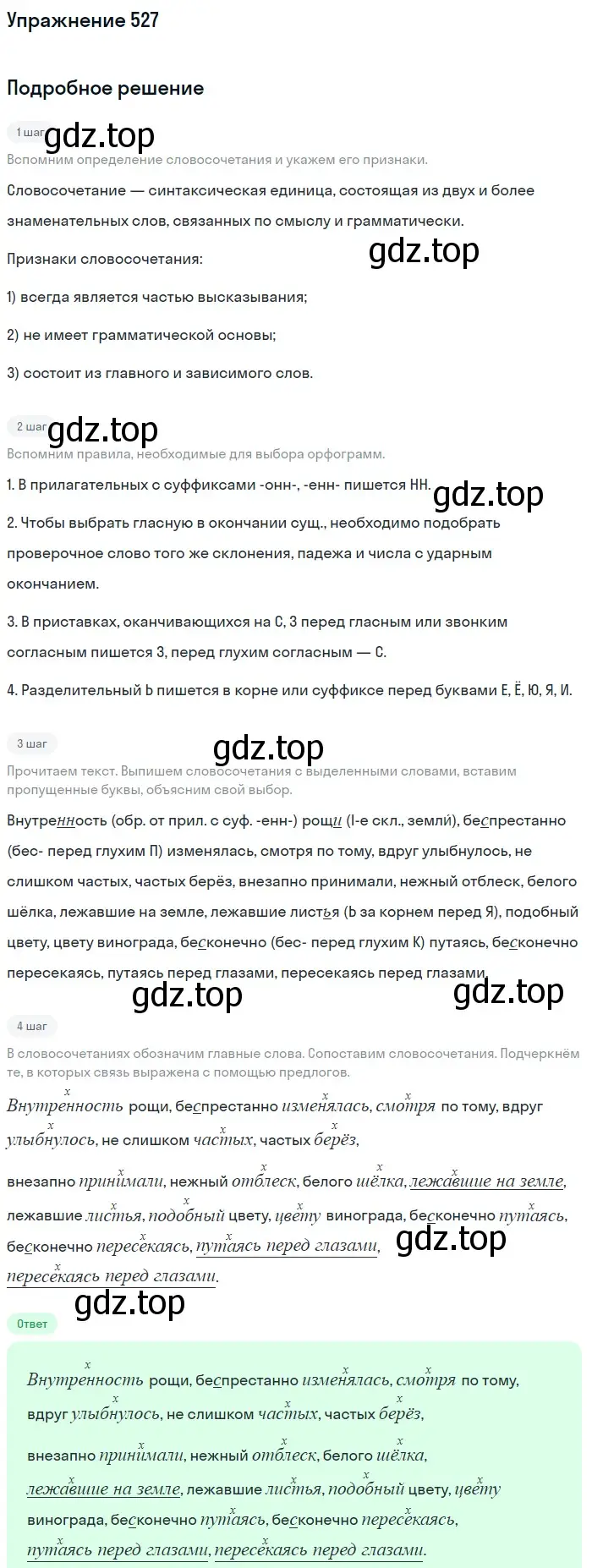 Решение номер 527 (страница 115) гдз по русскому языку 7 класс Баранов, Ладыженская, учебник 2 часть