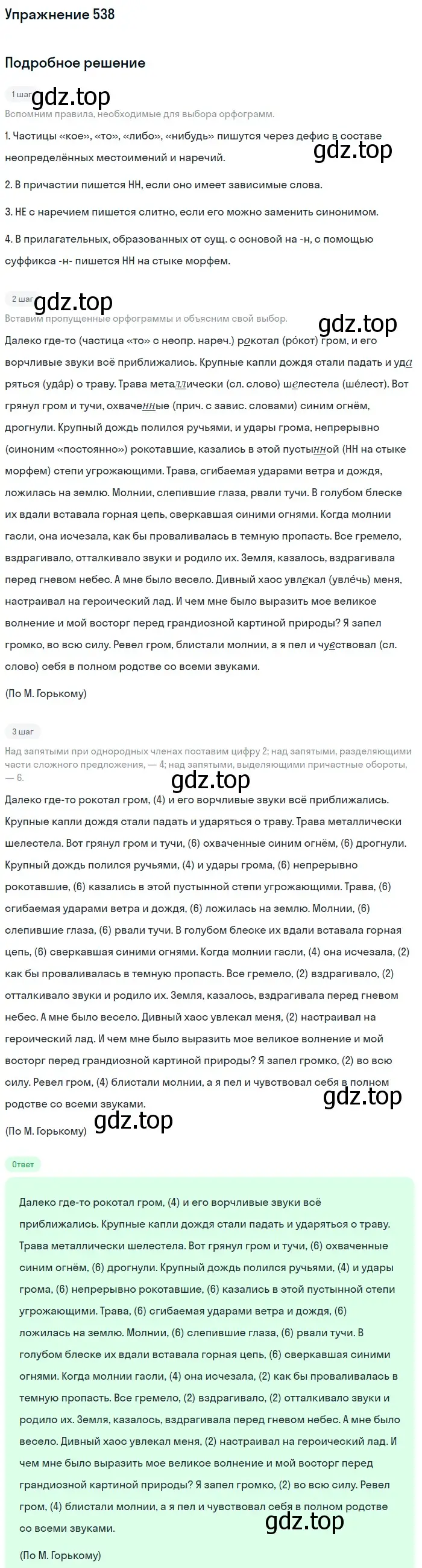 Решение номер 538 (страница 120) гдз по русскому языку 7 класс Баранов, Ладыженская, учебник 2 часть