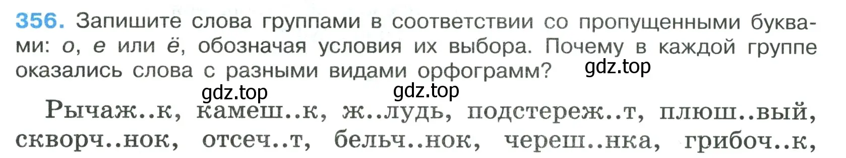 Условие номер 356 (страница 205) гдз по русскому языку 7 класс Ладыженская, Баранов, учебник 1 часть