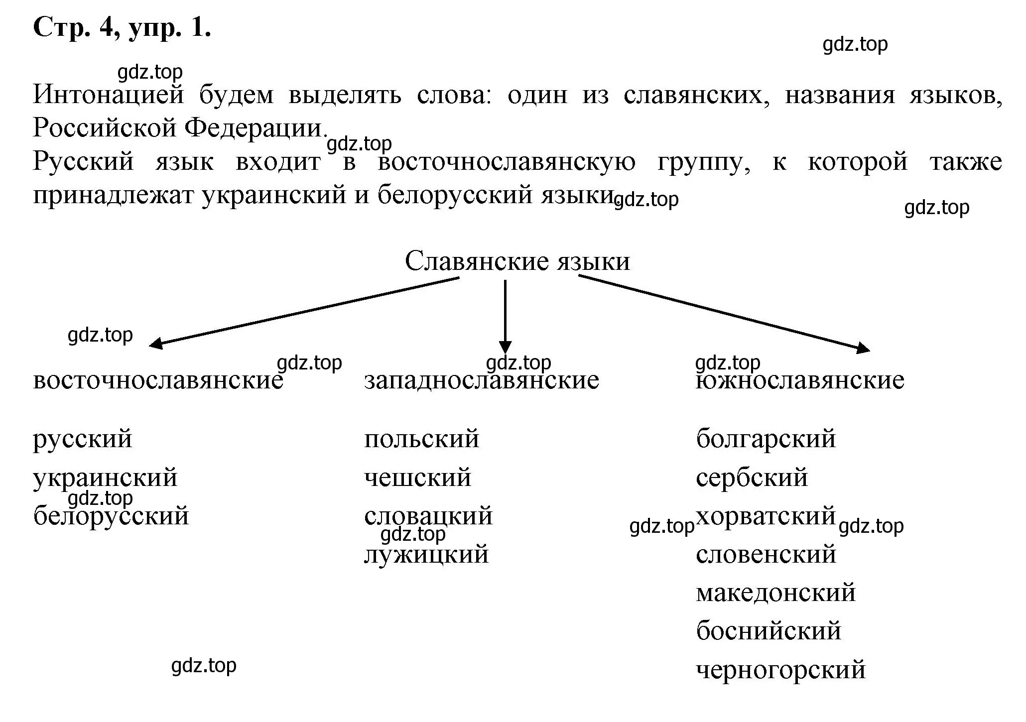 Решение номер 1 (страница 4) гдз по русскому языку 7 класс Ладыженская, Баранов, учебник 1 часть