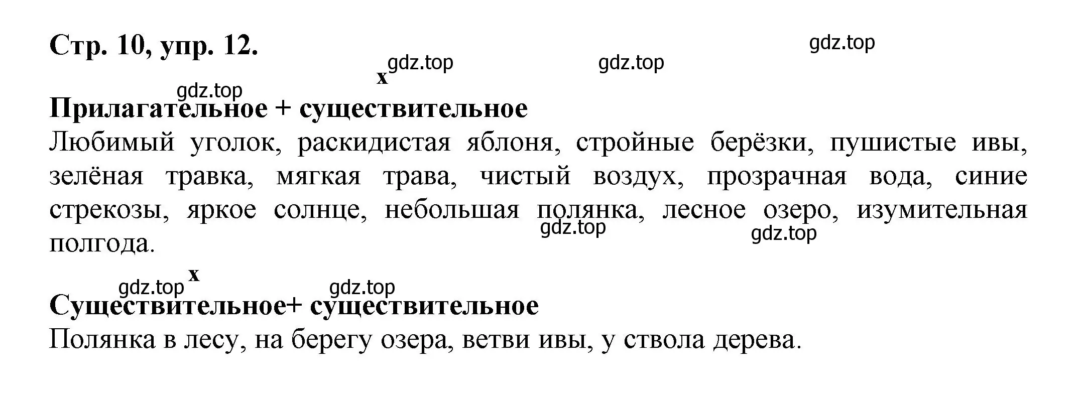 Решение номер 12 (страница 10) гдз по русскому языку 7 класс Ладыженская, Баранов, учебник 1 часть