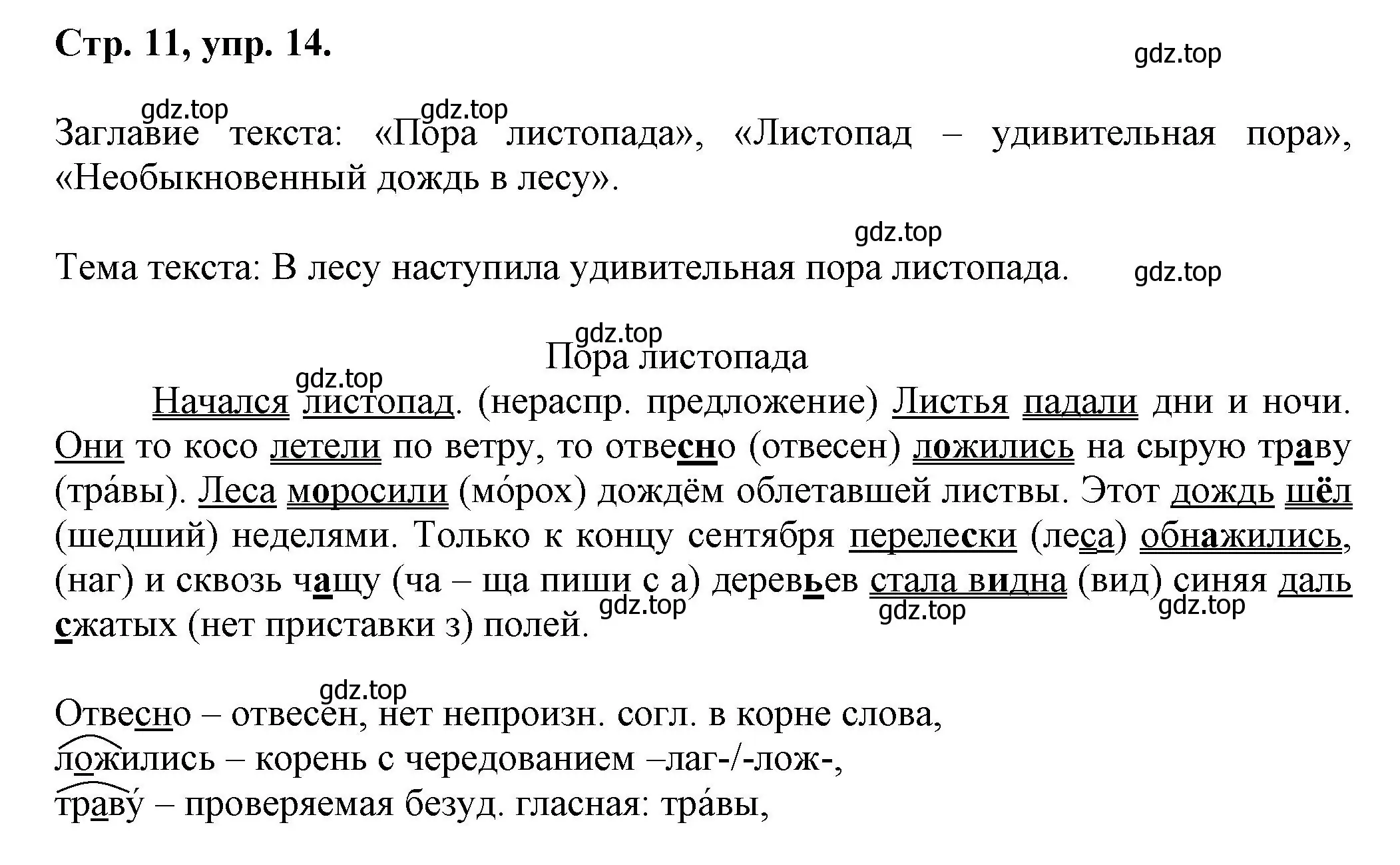 Решение номер 14 (страница 11) гдз по русскому языку 7 класс Ладыженская, Баранов, учебник 1 часть