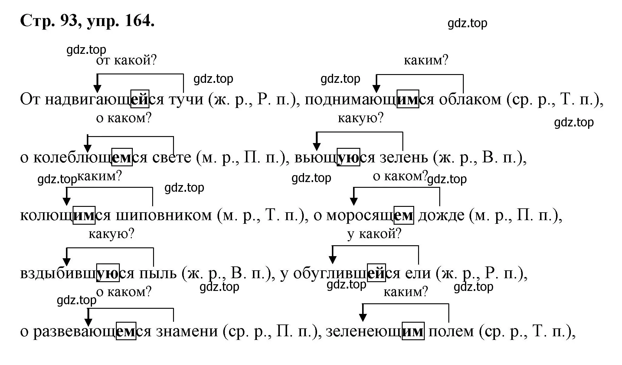 Решение номер 164 (страница 93) гдз по русскому языку 7 класс Ладыженская, Баранов, учебник 1 часть