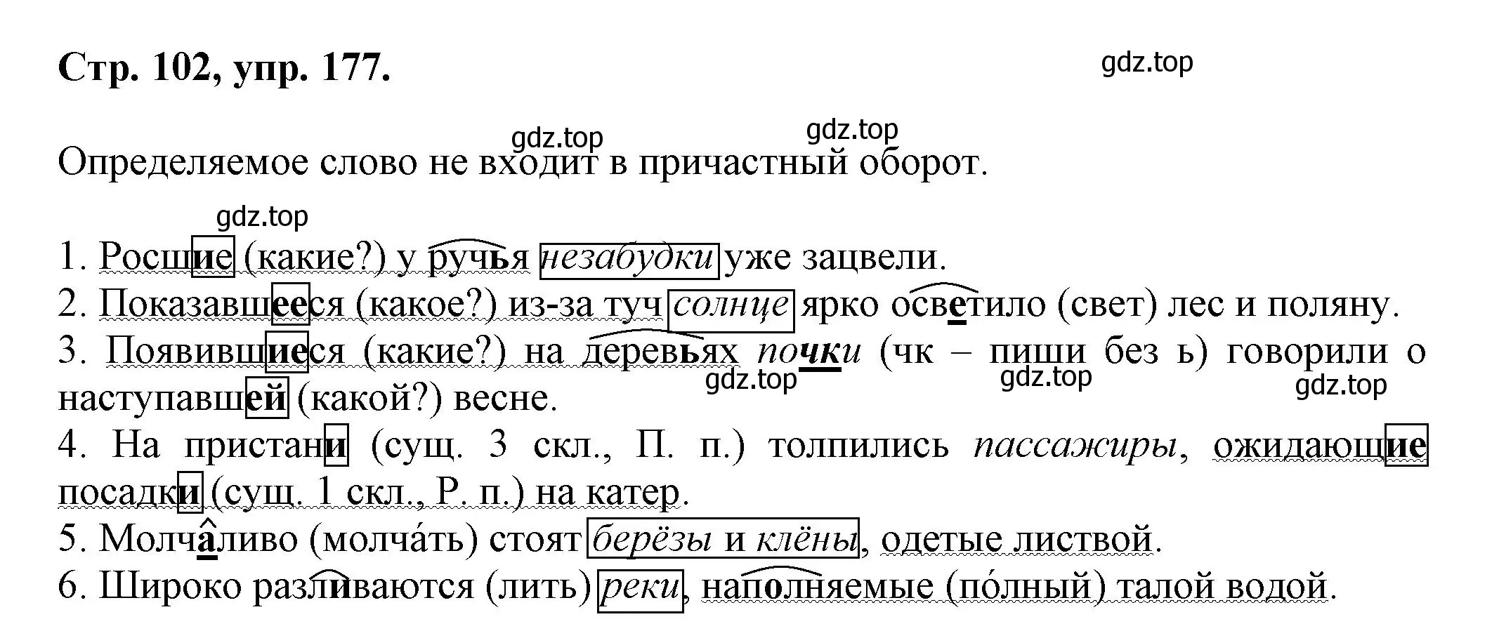 Решение номер 177 (страница 102) гдз по русскому языку 7 класс Ладыженская, Баранов, учебник 1 часть