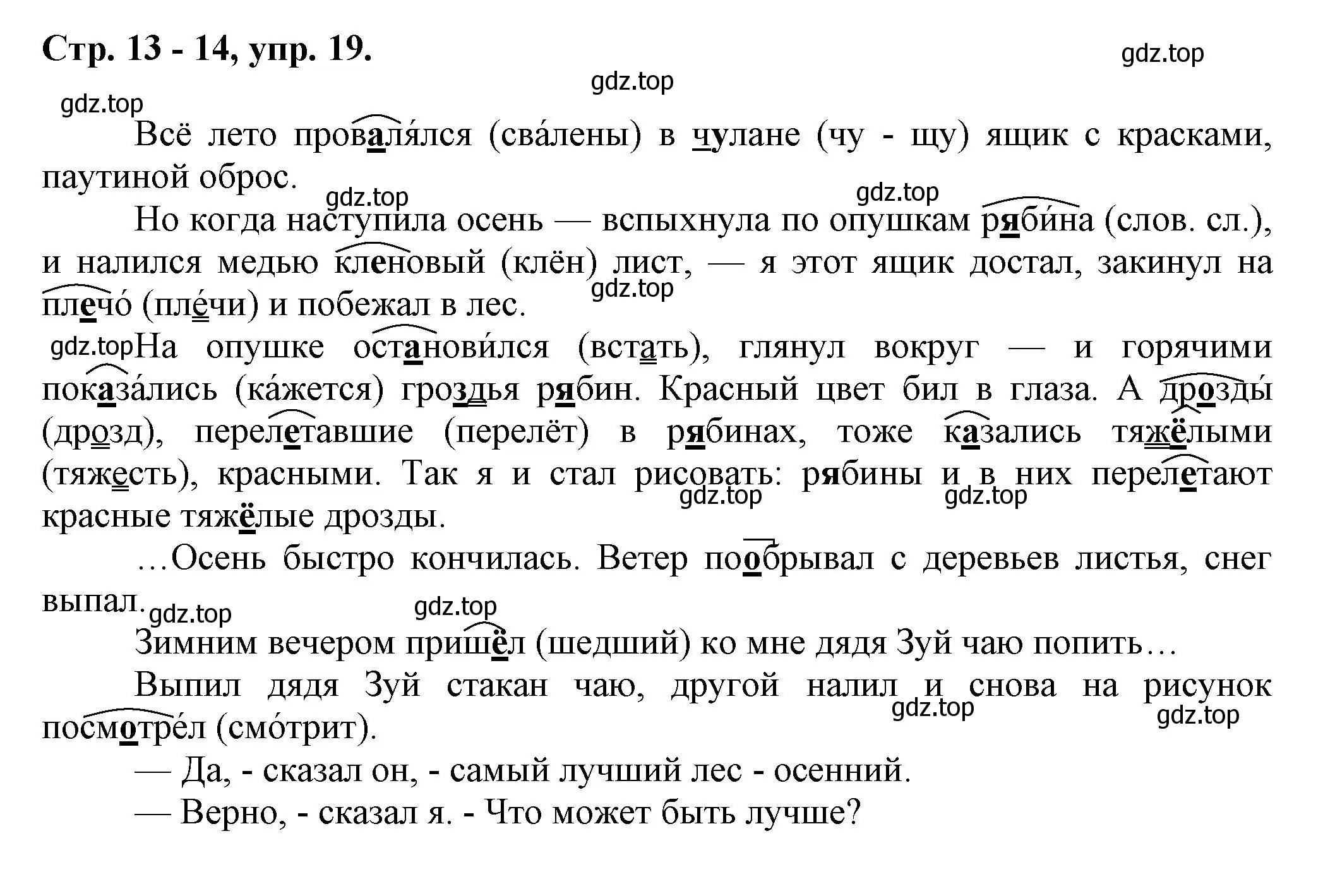 Решение номер 19 (страница 13) гдз по русскому языку 7 класс Ладыженская, Баранов, учебник 1 часть