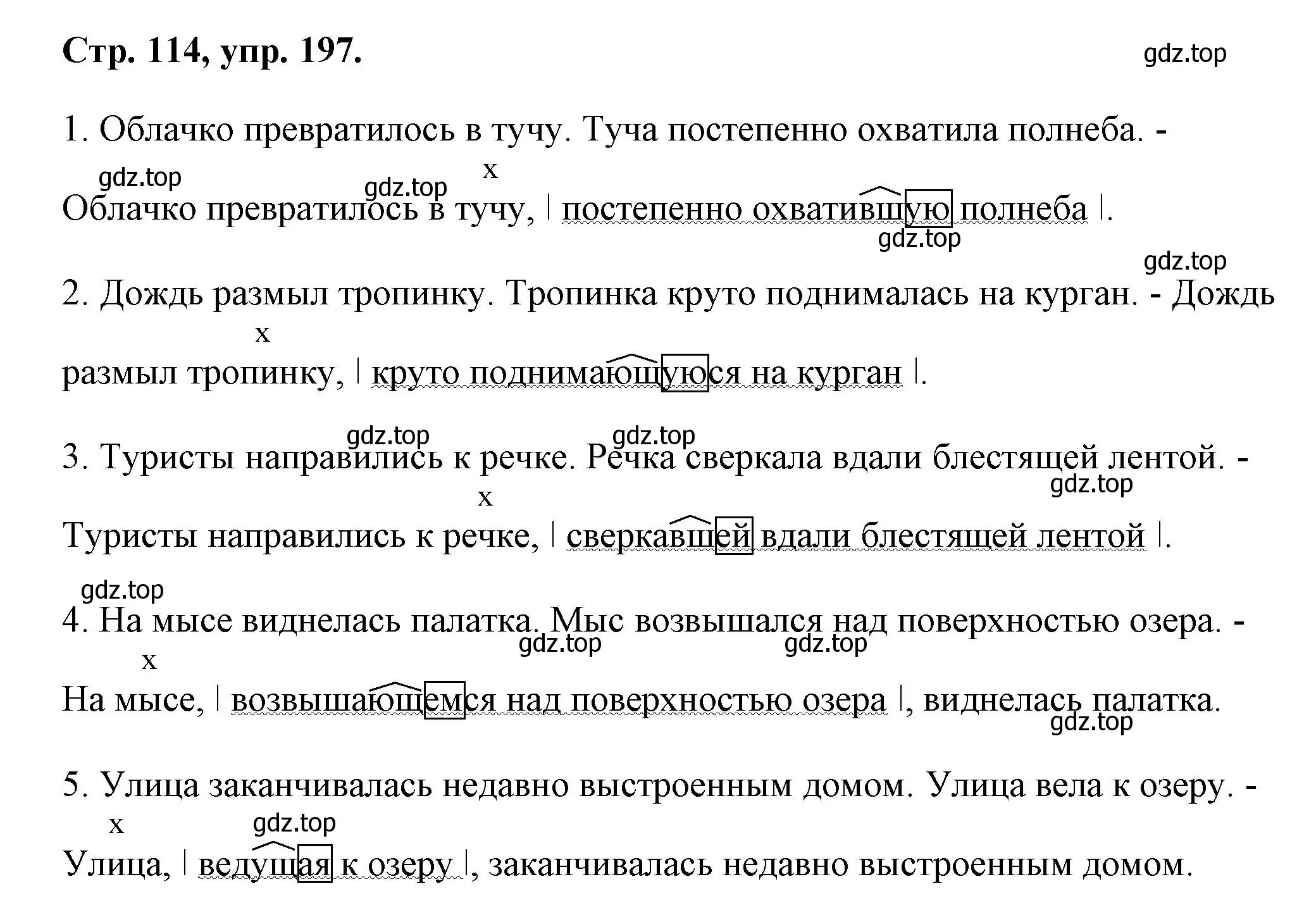 Решение номер 197 (страница 114) гдз по русскому языку 7 класс Ладыженская, Баранов, учебник 1 часть