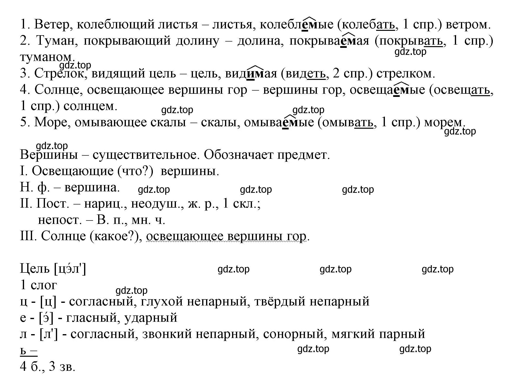 Решение номер 204 (страница 118) гдз по русскому языку 7 класс Ладыженская, Баранов, учебник 1 часть