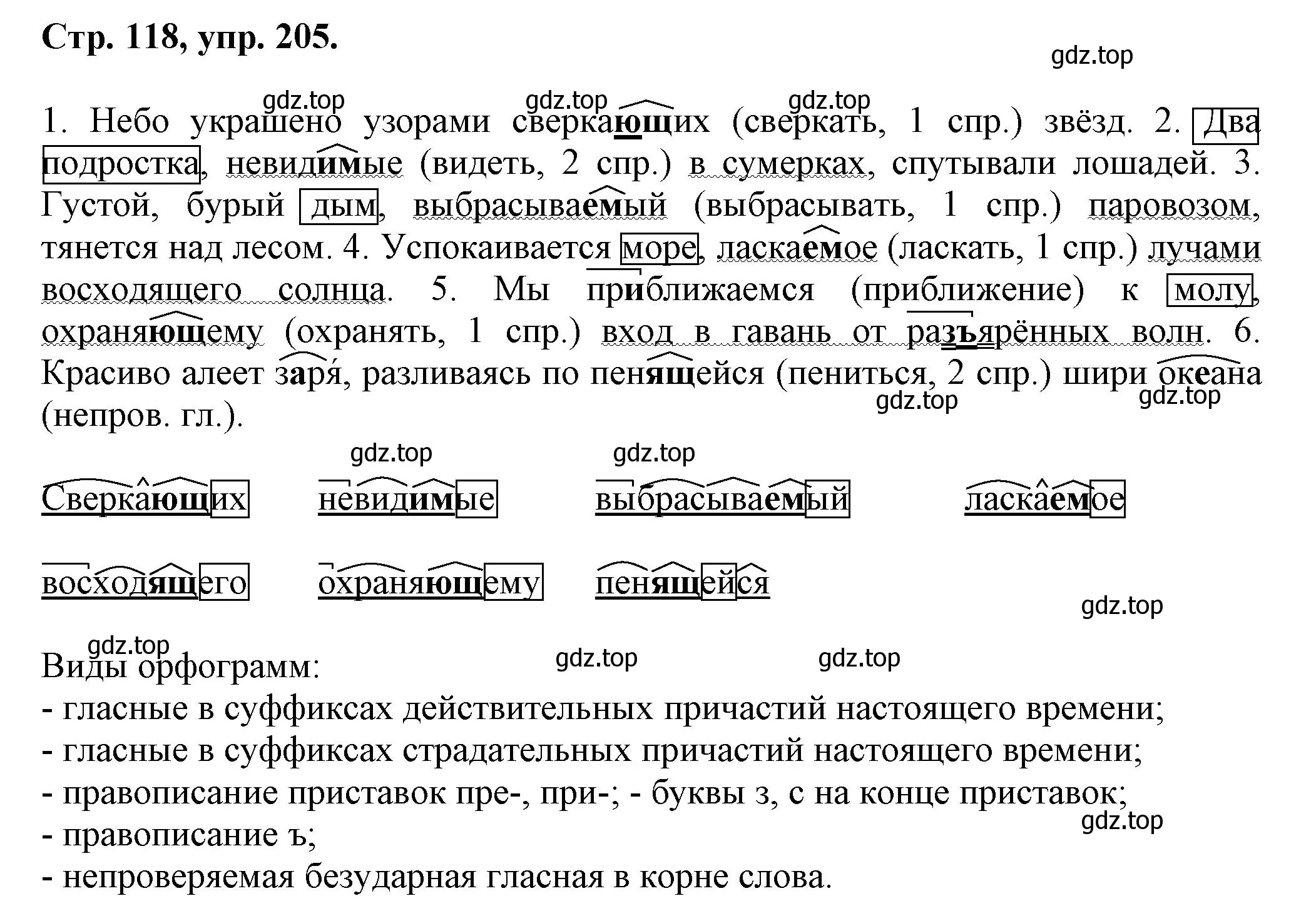 Решение номер 205 (страница 118) гдз по русскому языку 7 класс Ладыженская, Баранов, учебник 1 часть