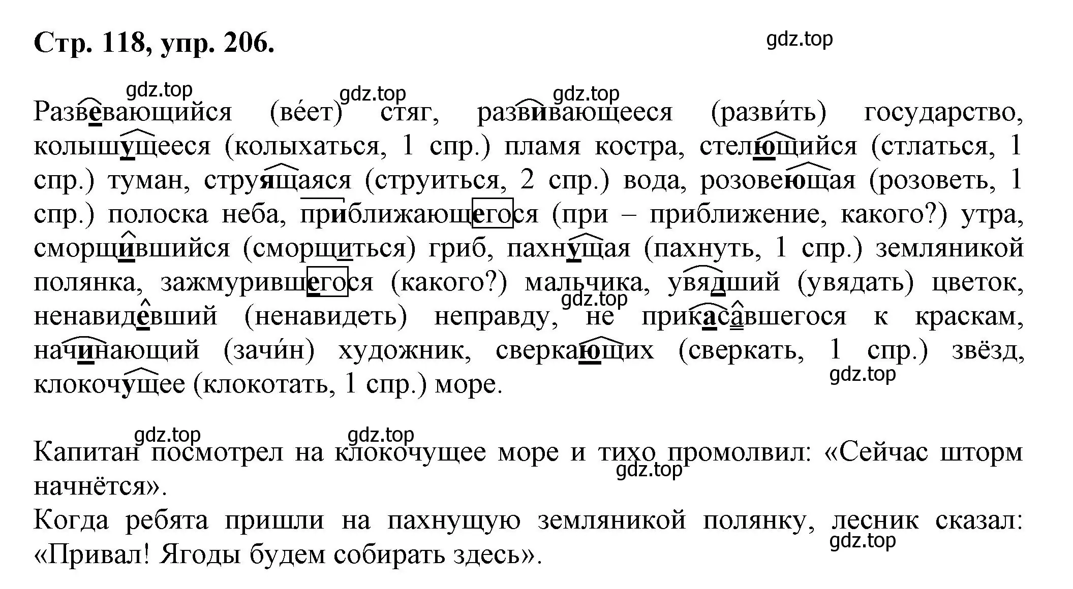 Решение номер 206 (страница 118) гдз по русскому языку 7 класс Ладыженская, Баранов, учебник 1 часть