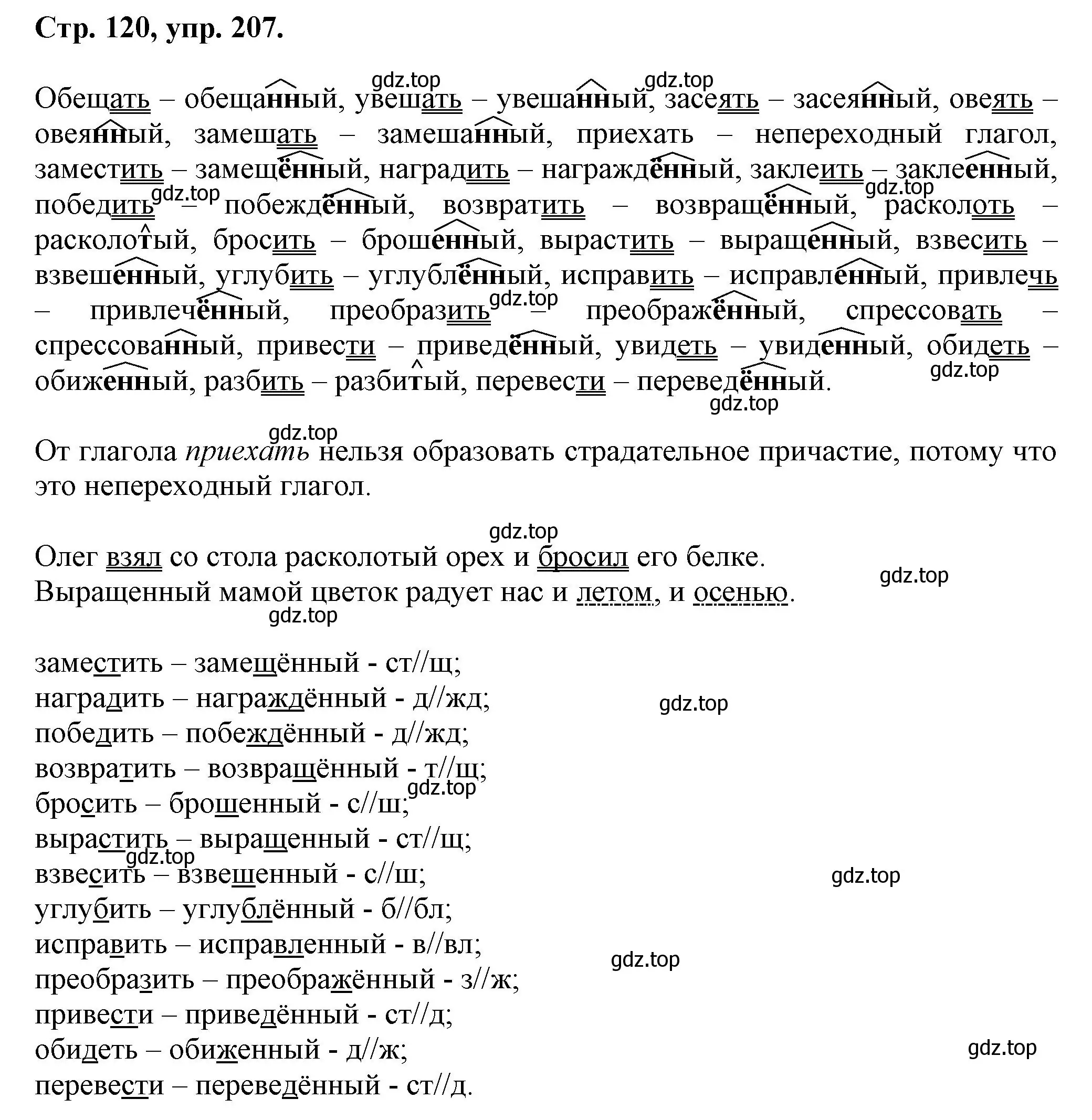 Решение номер 207 (страница 120) гдз по русскому языку 7 класс Ладыженская, Баранов, учебник 1 часть