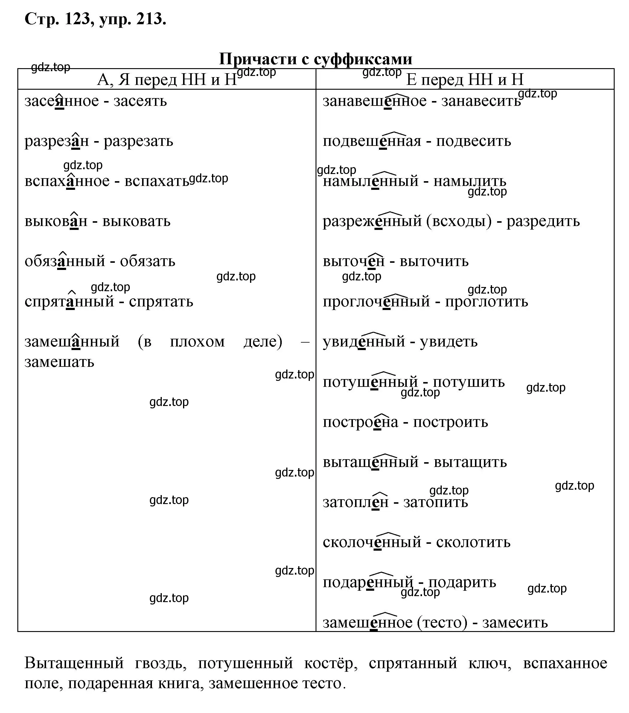 Решение номер 213 (страница 123) гдз по русскому языку 7 класс Ладыженская, Баранов, учебник 1 часть