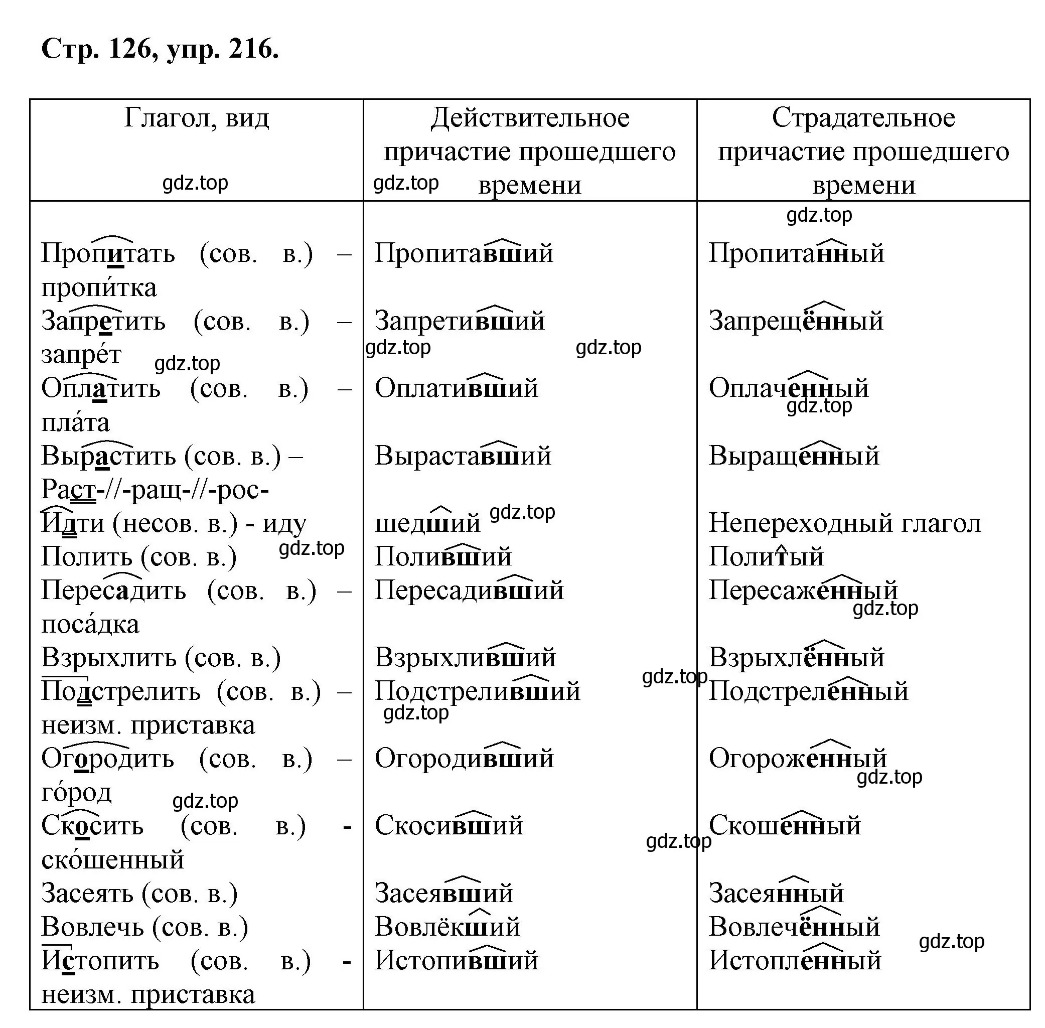 Решение номер 216 (страница 126) гдз по русскому языку 7 класс Ладыженская, Баранов, учебник 1 часть