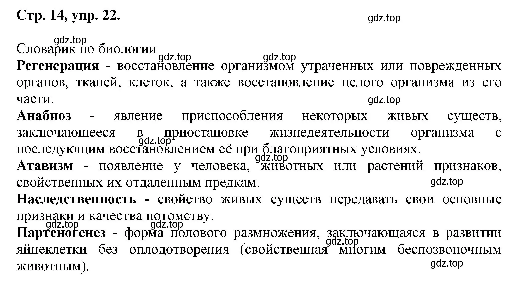 Решение номер 22 (страница 14) гдз по русскому языку 7 класс Ладыженская, Баранов, учебник 1 часть