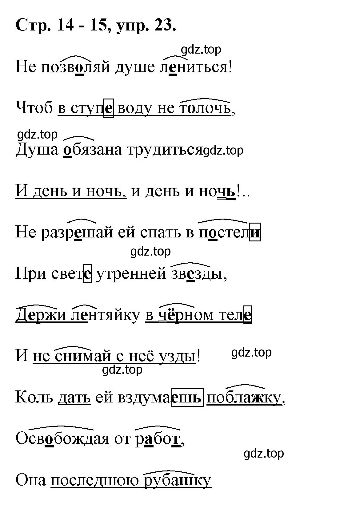 Решение номер 23 (страница 14) гдз по русскому языку 7 класс Ладыженская, Баранов, учебник 1 часть