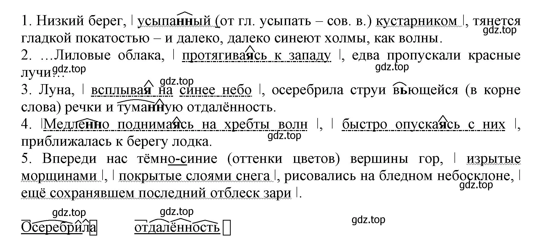 Решение номер 283 (страница 165) гдз по русскому языку 7 класс Ладыженская, Баранов, учебник 1 часть