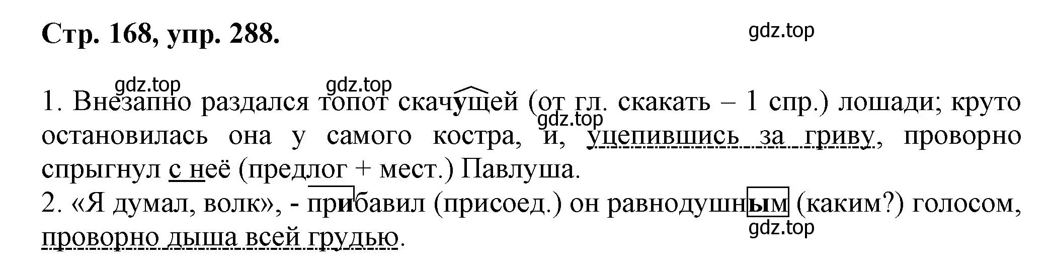 Решение номер 288 (страница 168) гдз по русскому языку 7 класс Ладыженская, Баранов, учебник 1 часть