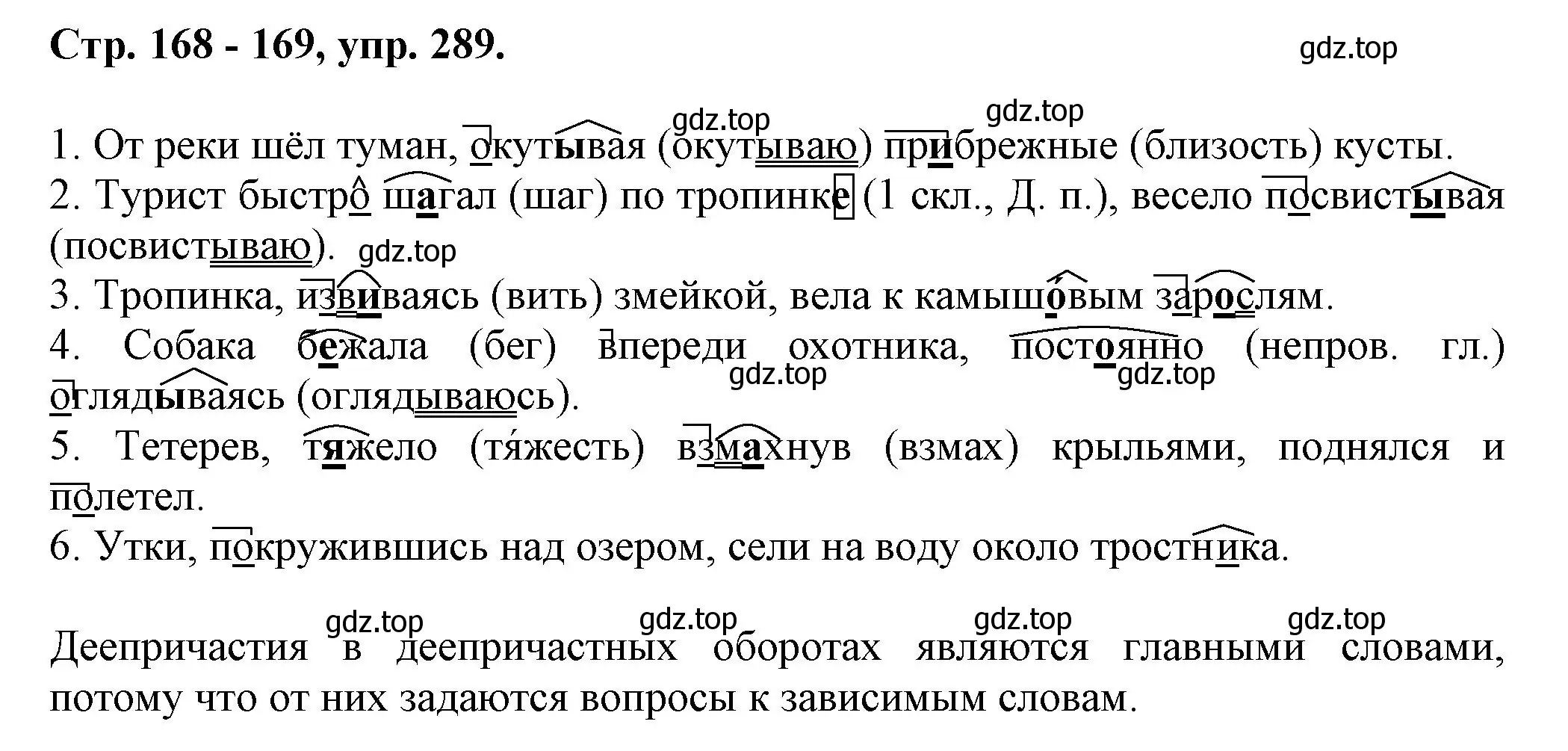 Решение номер 289 (страница 168) гдз по русскому языку 7 класс Ладыженская, Баранов, учебник 1 часть