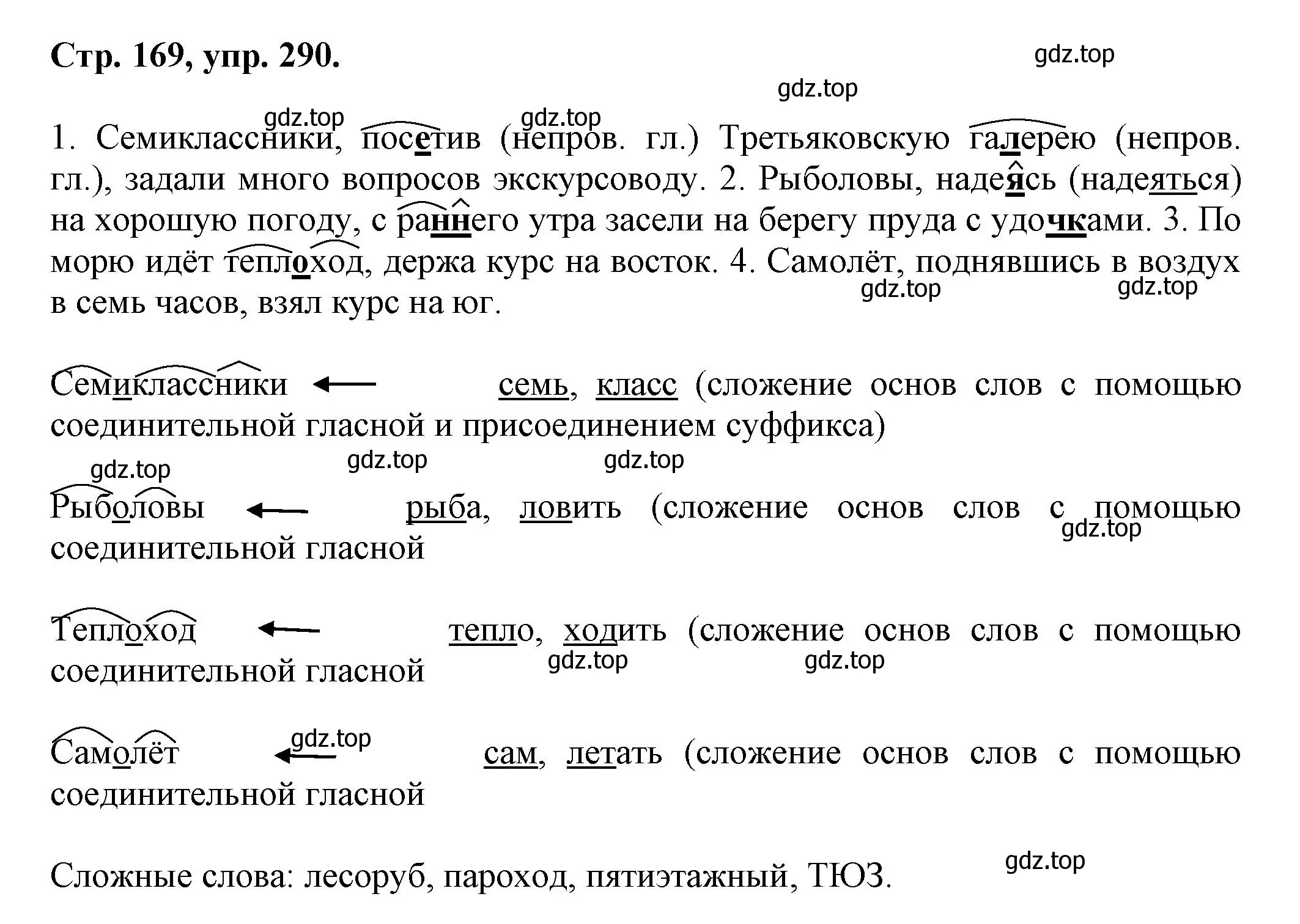 Решение номер 290 (страница 169) гдз по русскому языку 7 класс Ладыженская, Баранов, учебник 1 часть