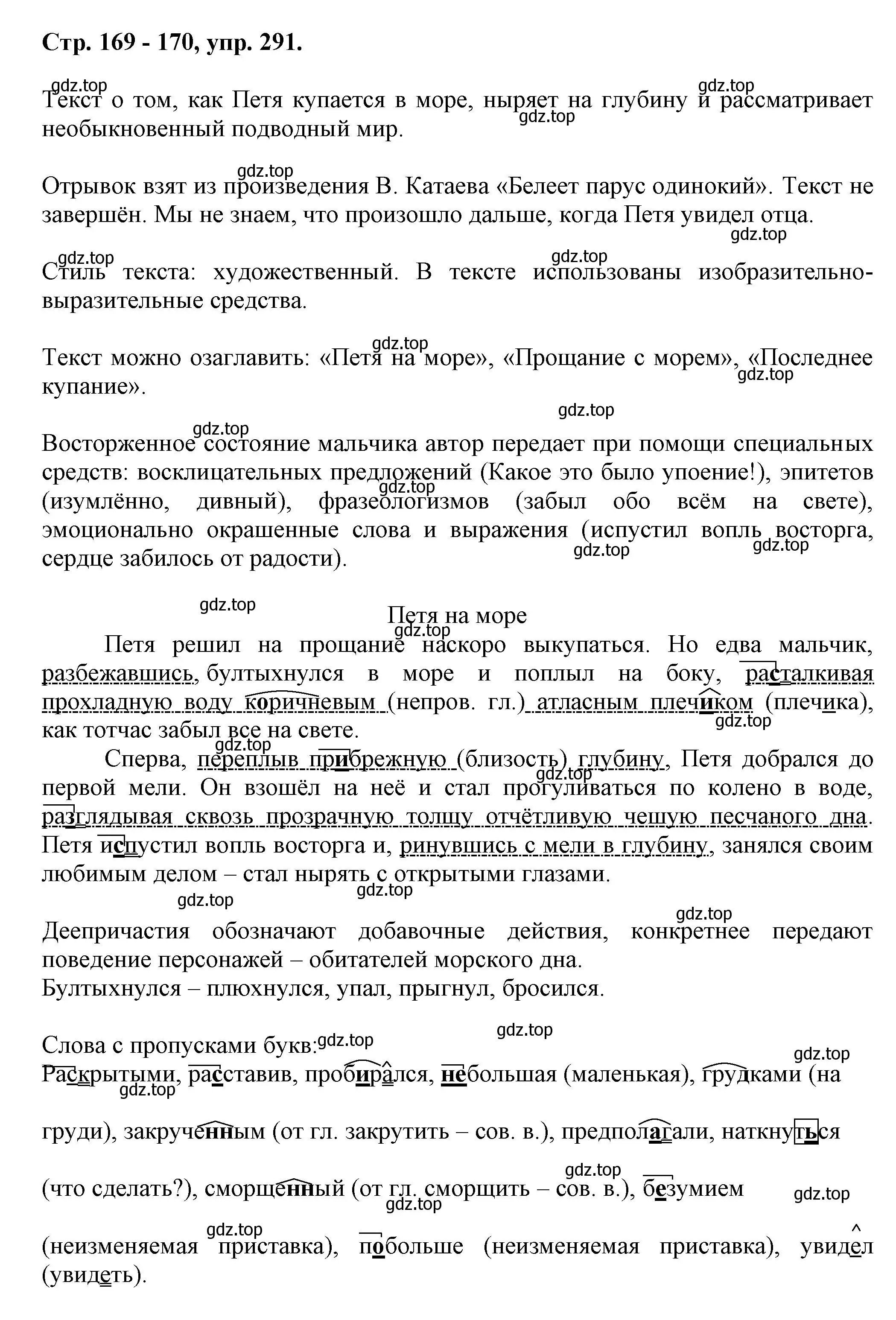 Решение номер 291 (страница 169) гдз по русскому языку 7 класс Ладыженская, Баранов, учебник 1 часть