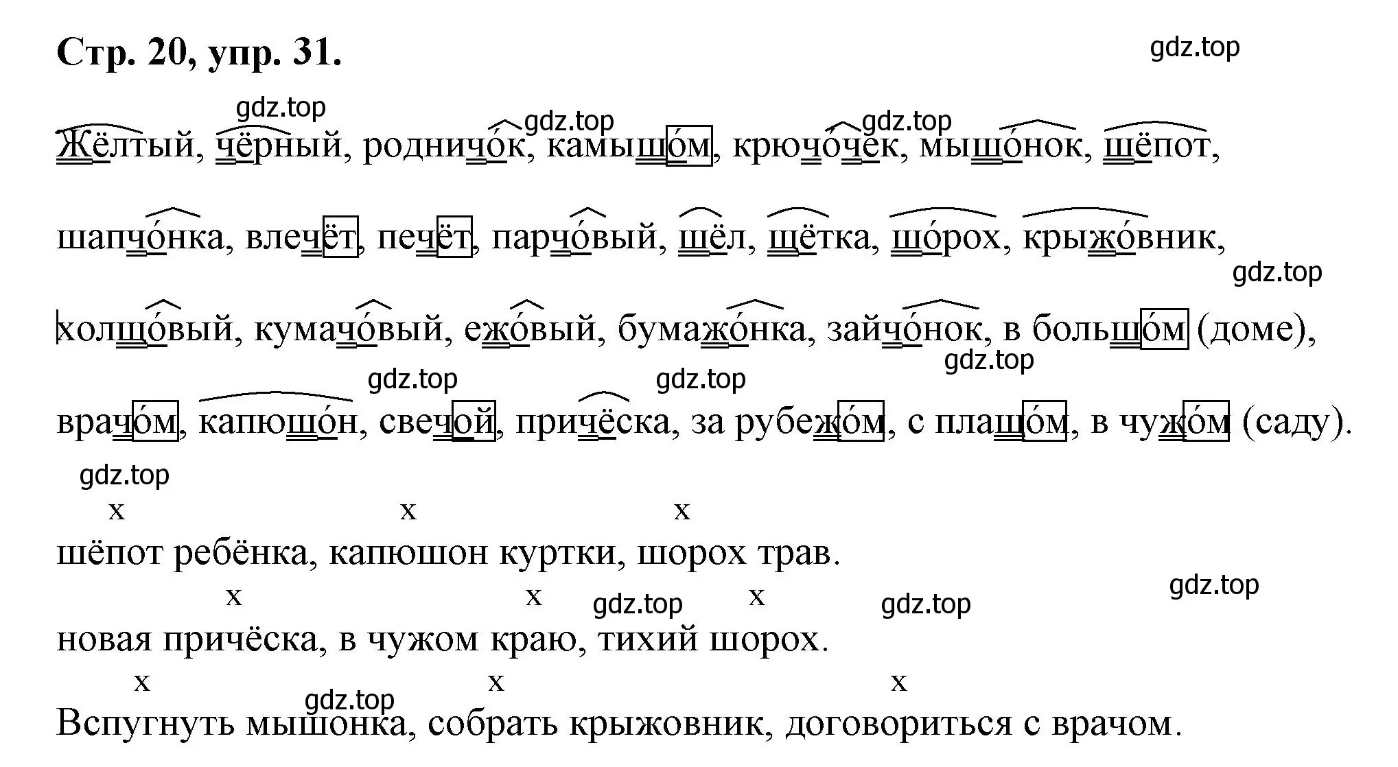 Решение номер 31 (страница 20) гдз по русскому языку 7 класс Ладыженская, Баранов, учебник 1 часть