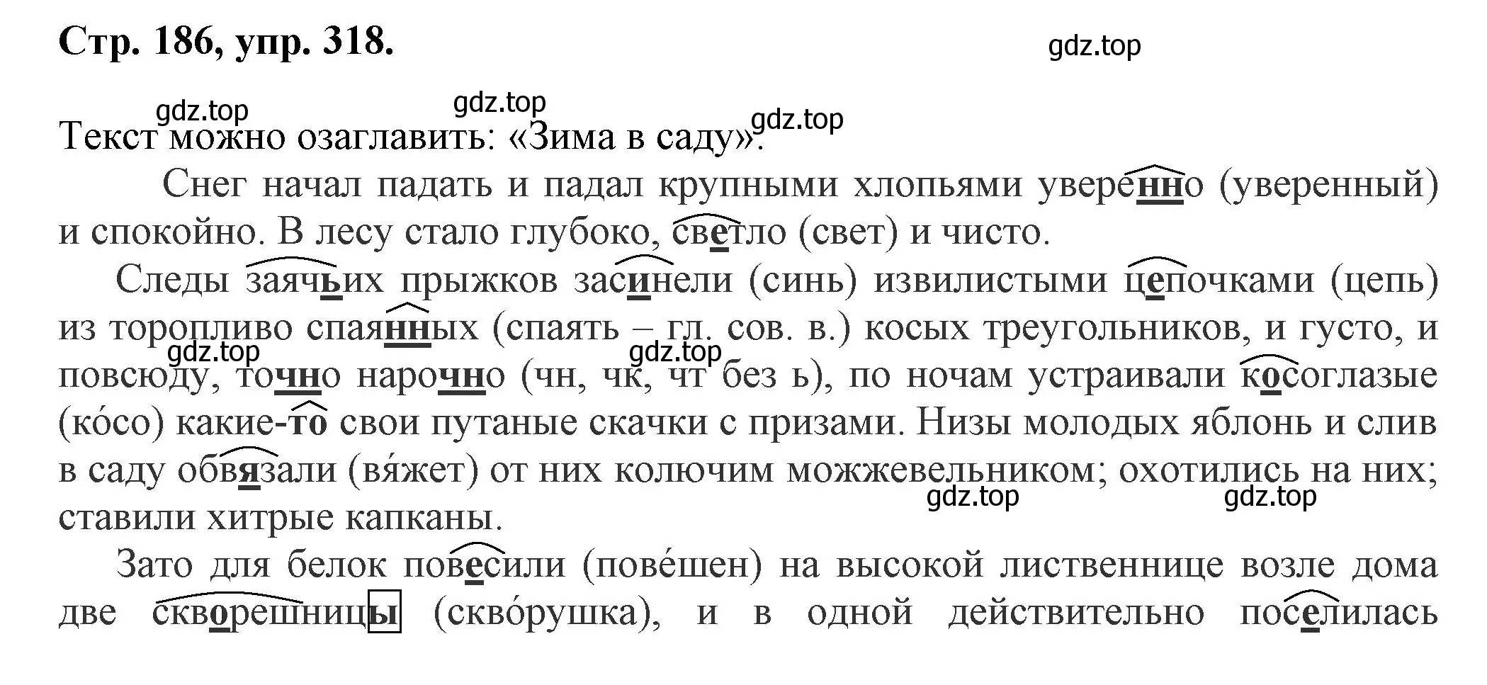 Решение номер 318 (страница 186) гдз по русскому языку 7 класс Ладыженская, Баранов, учебник 1 часть