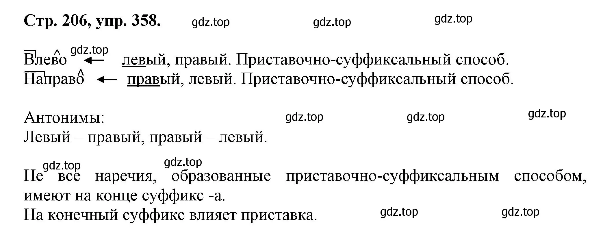 Решение номер 358 (страница 206) гдз по русскому языку 7 класс Ладыженская, Баранов, учебник 1 часть