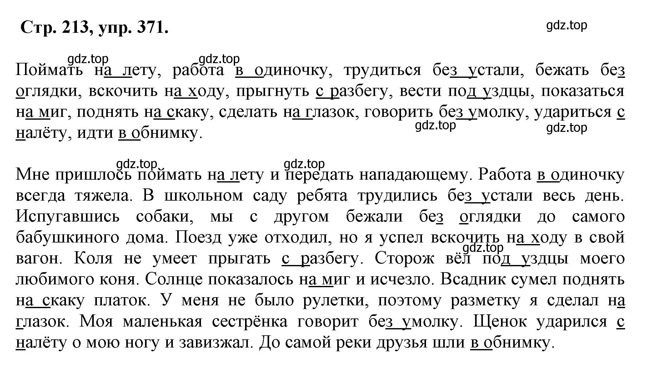 Решение номер 371 (страница 213) гдз по русскому языку 7 класс Ладыженская, Баранов, учебник 1 часть