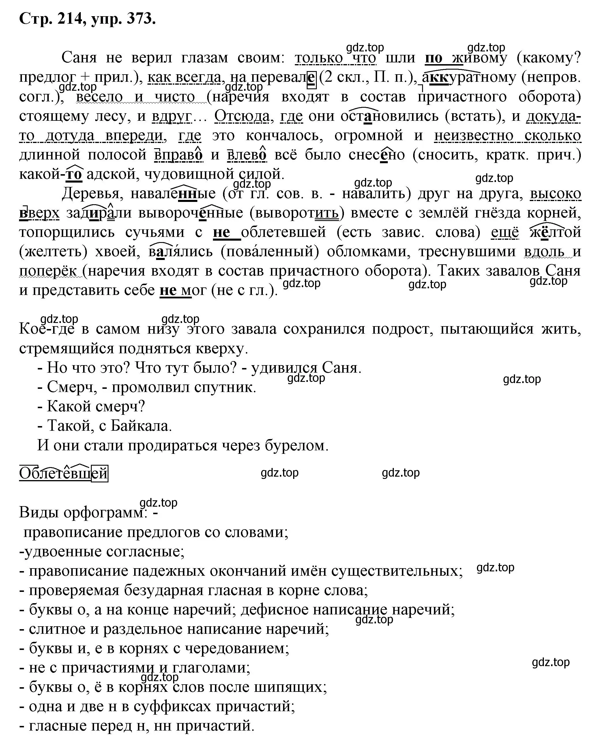 Решение номер 373 (страница 214) гдз по русскому языку 7 класс Ладыженская, Баранов, учебник 1 часть