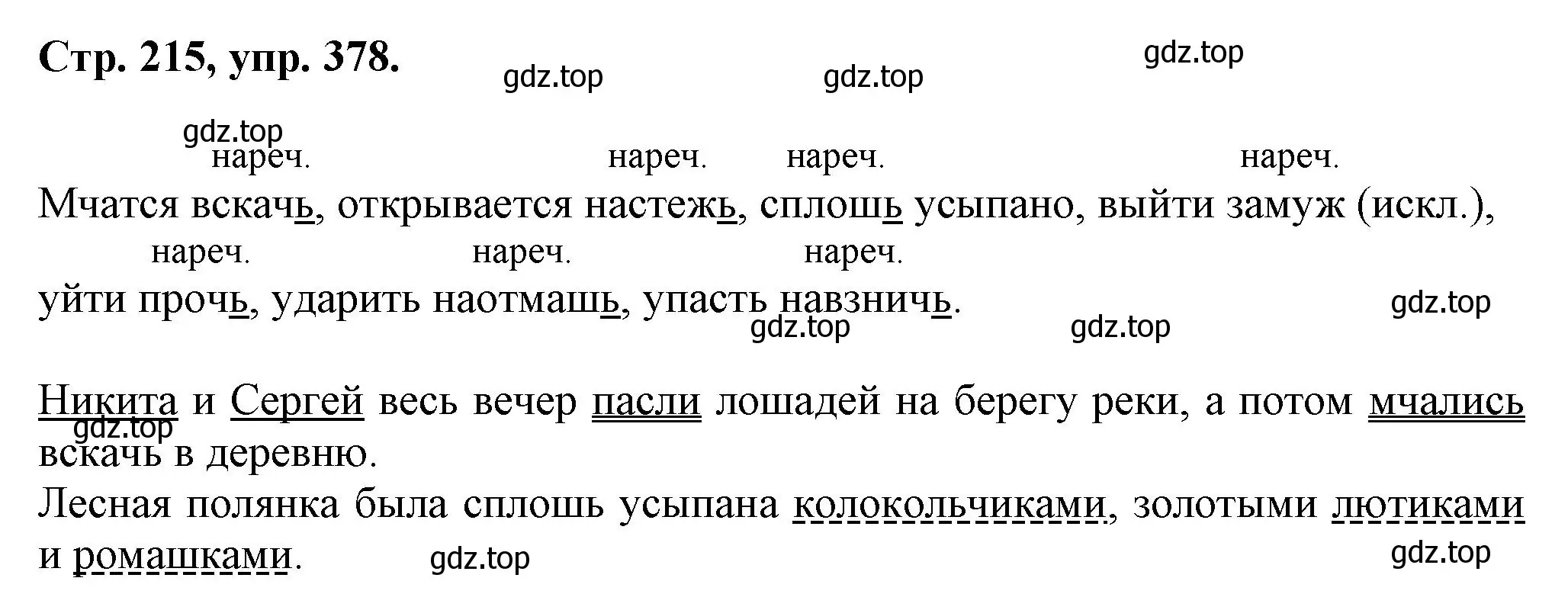 Решение номер 378 (страница 215) гдз по русскому языку 7 класс Ладыженская, Баранов, учебник 1 часть