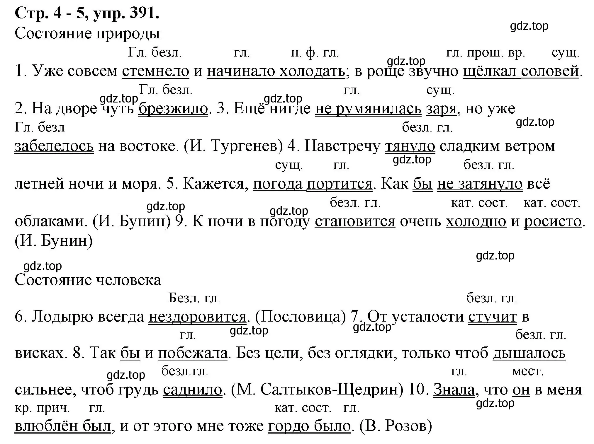 Решение номер 391 (страница 4) гдз по русскому языку 7 класс Ладыженская, Баранов, учебник 2 часть