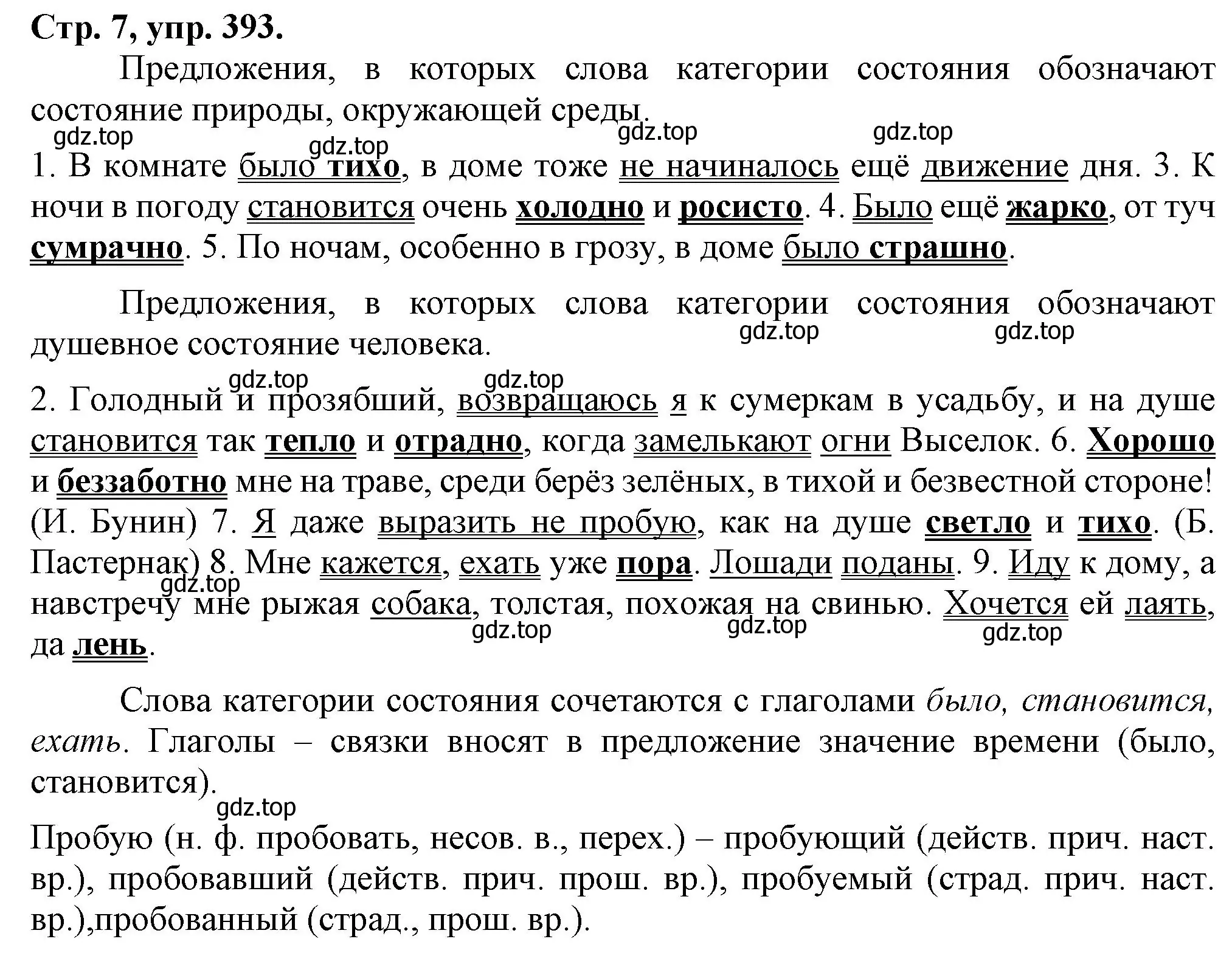 Решение номер 393 (страница 7) гдз по русскому языку 7 класс Ладыженская, Баранов, учебник 2 часть