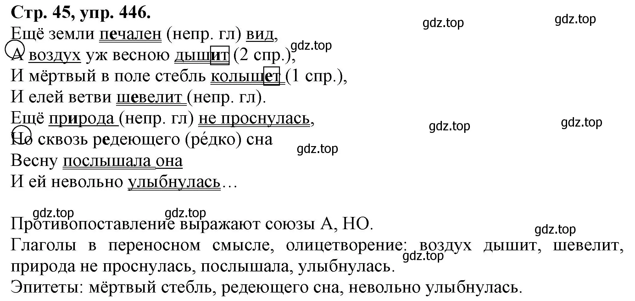 Решение номер 446 (страница 45) гдз по русскому языку 7 класс Ладыженская, Баранов, учебник 2 часть