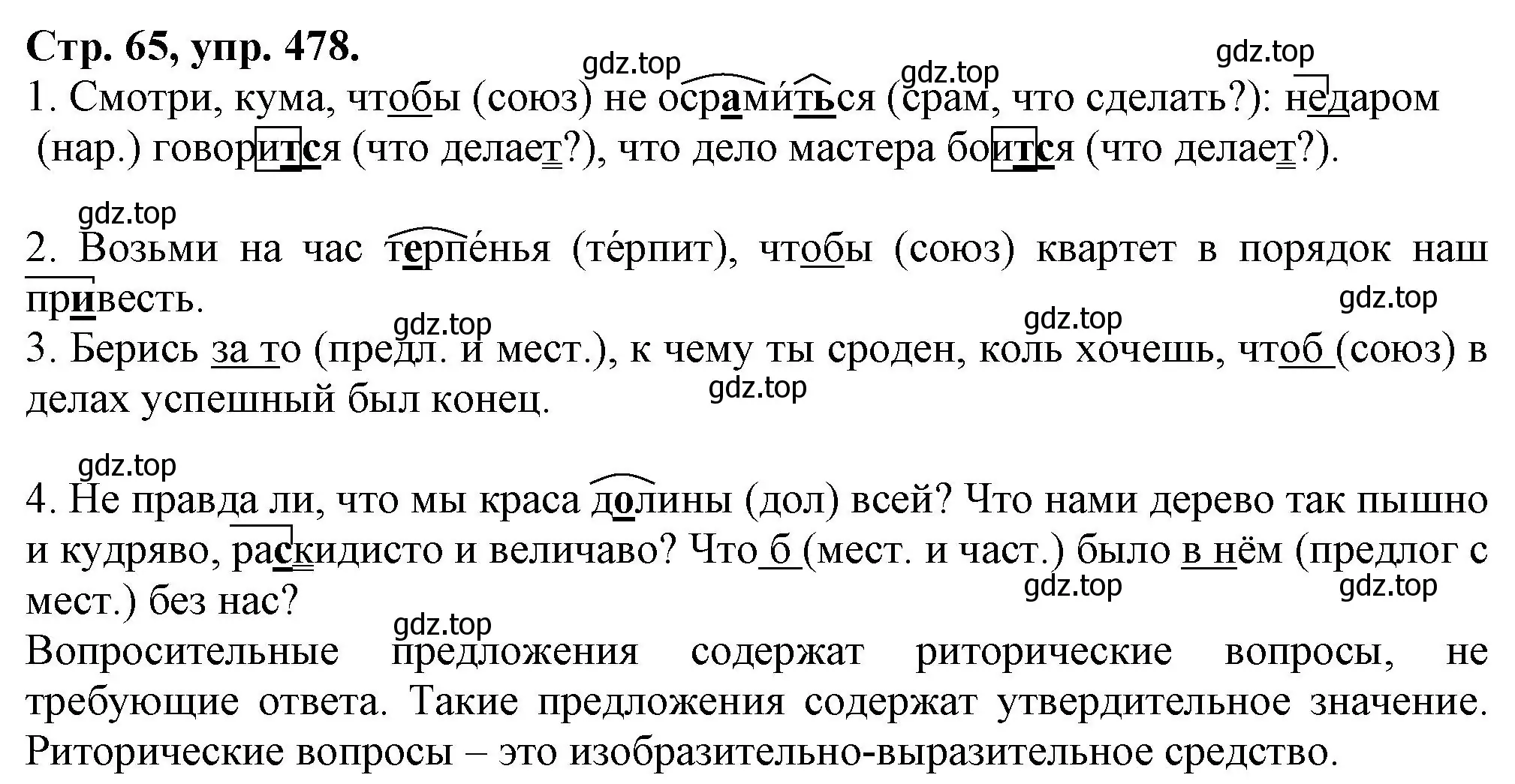 Решение номер 478 (страница 65) гдз по русскому языку 7 класс Ладыженская, Баранов, учебник 2 часть