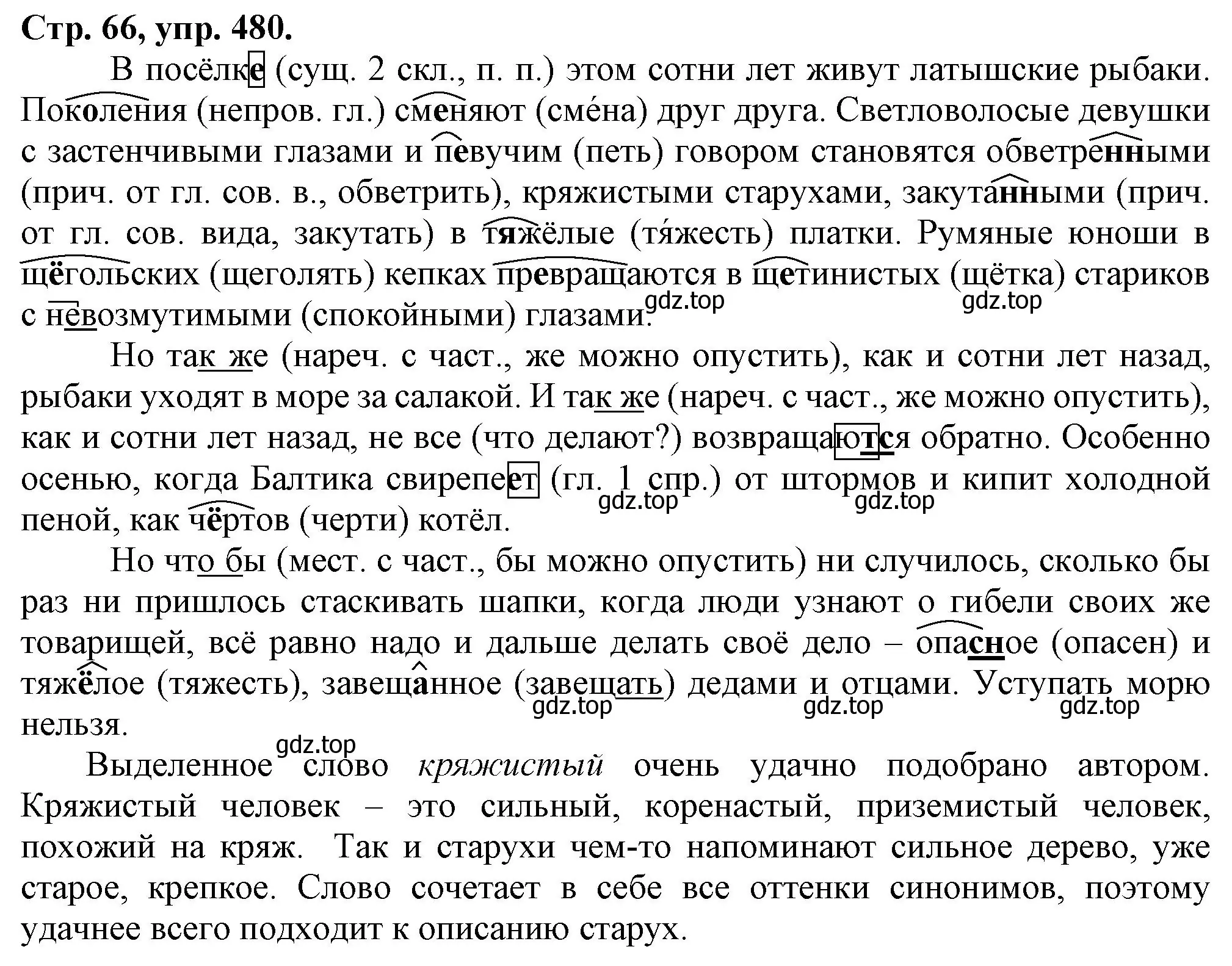 Решение номер 480 (страница 66) гдз по русскому языку 7 класс Ладыженская, Баранов, учебник 2 часть