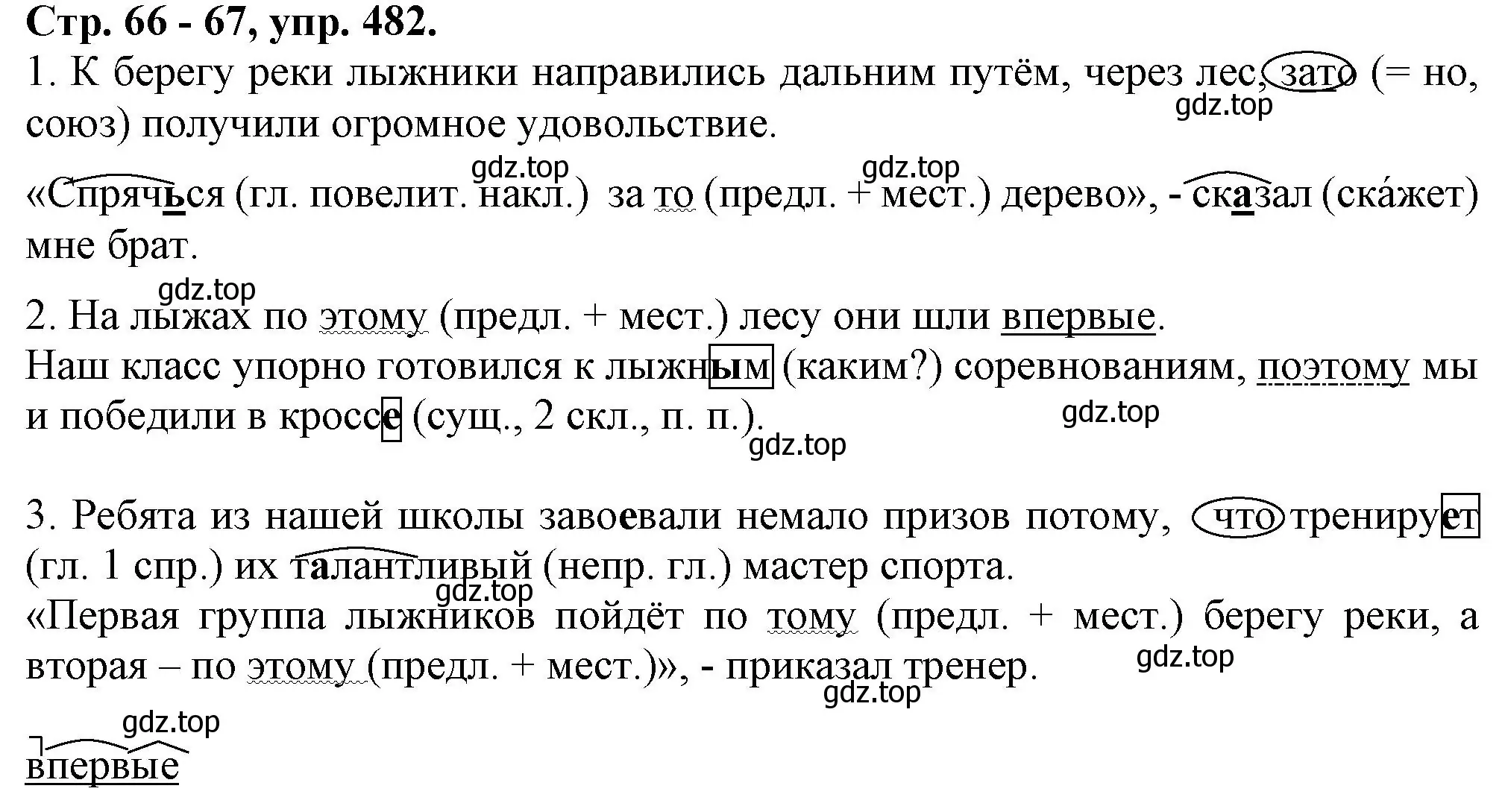 Решение номер 482 (страница 66) гдз по русскому языку 7 класс Ладыженская, Баранов, учебник 2 часть