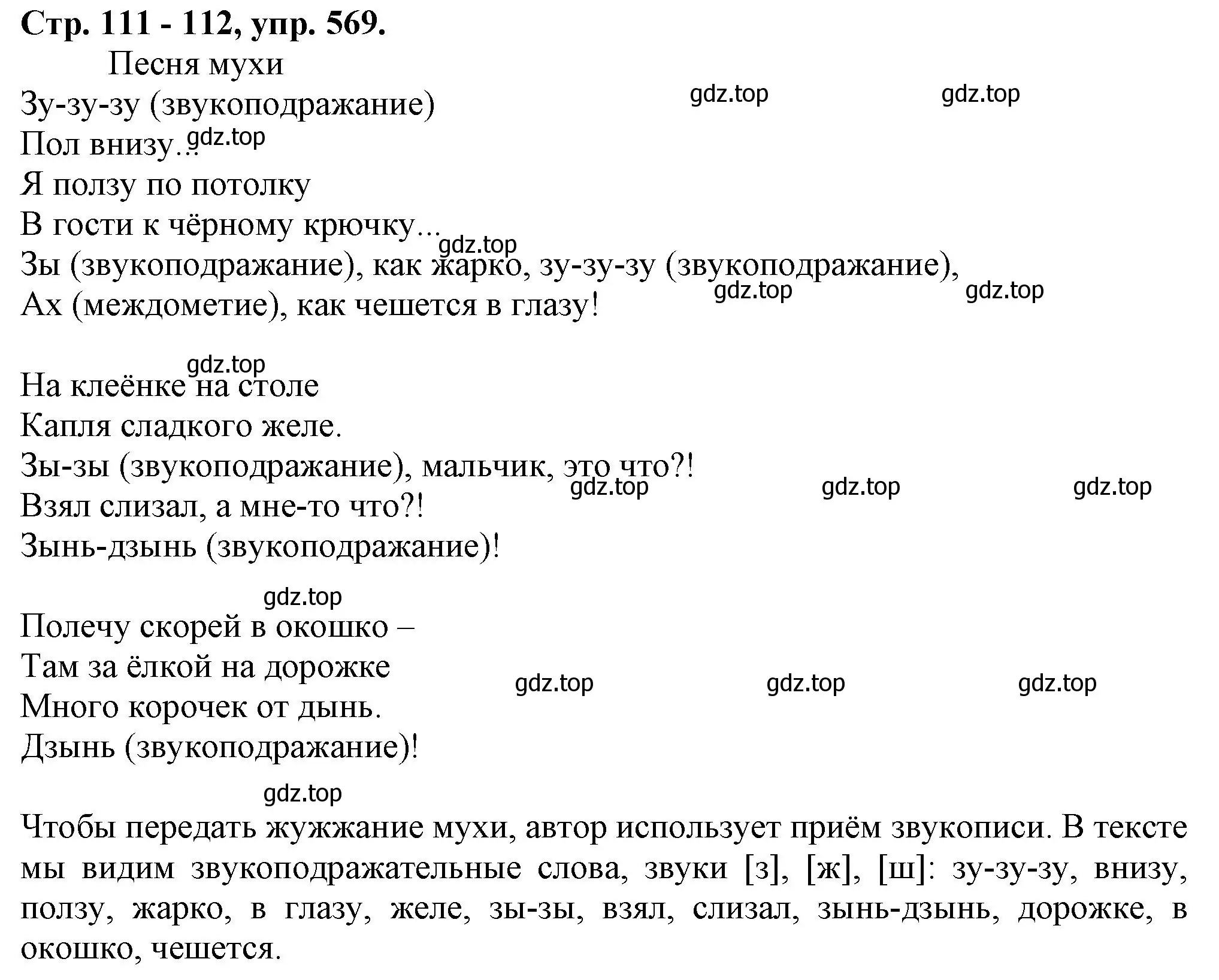 Решение номер 569 (страница 111) гдз по русскому языку 7 класс Ладыженская, Баранов, учебник 2 часть