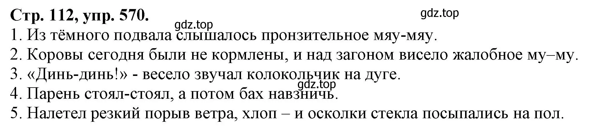 Решение номер 570 (страница 112) гдз по русскому языку 7 класс Ладыженская, Баранов, учебник 2 часть